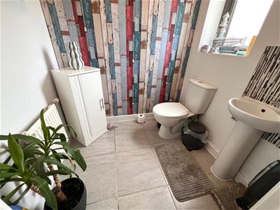 Picture 7